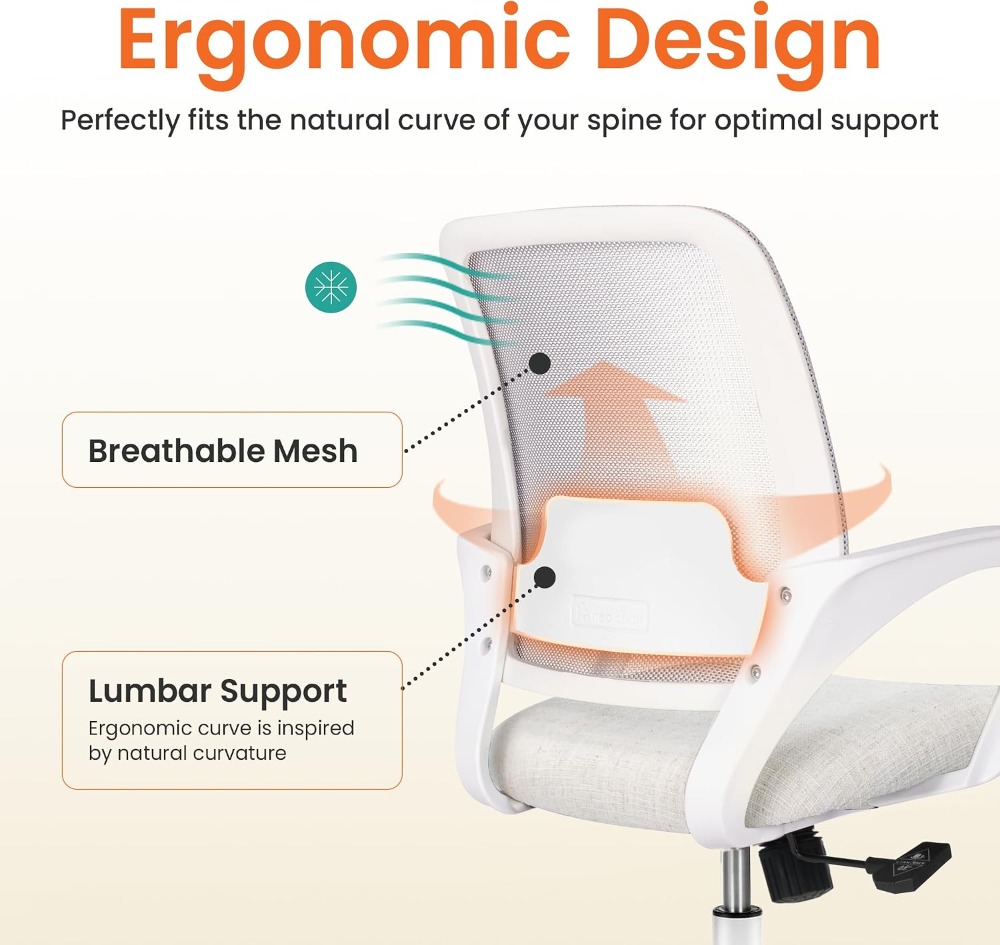 كرسي مكتب مريح بتصميم مريح للج - مراجعة Task Chair Mid Back وسعره